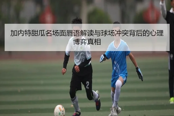 加内特甜瓜名场面唇语解读与球场冲突背后的心理博弈真相
